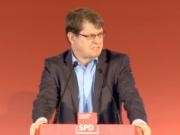 ralf stegner afd mehr demokratie wagen