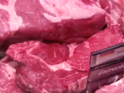 Grüne wollen billiges Fleisch verbieten