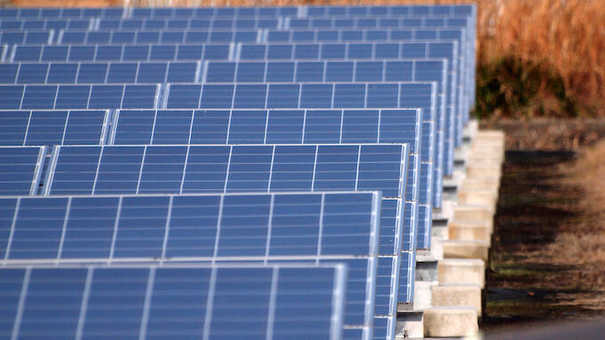 Sperrgebiet in Chernobyl wird größter Solarpark der Welt (Foto: coniferconifer)